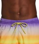 Nike Men's Horizon Stripe Swim Trunks - Action Grape - Swimoutlet.com