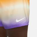 Nike Men's Horizon Stripe Swim Trunks - Action Grape - Swimoutlet.com