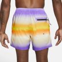 Nike Men's Horizon Stripe Swim Trunks - Action Grape - Swimoutlet.com