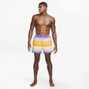 Nike Men's Horizon Stripe Swim Trunks - Action Grape - Swimoutlet.com