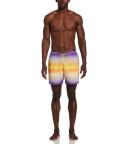 Nike Men's Horizon Stripe Swim Trunks - Action Grape - Swimoutlet.com