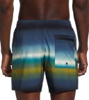 Nike Men's Horizon Stripe Swim Trunks - Moss - Swimoutlet.com