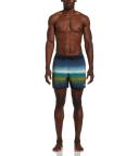 Nike Men's Horizon Stripe Swim Trunks - Moss - Swimoutlet.com