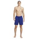 Nike Mens Dri-FIT Form 7-inch Shorts Blue S