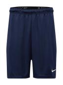 Nike Mens Dri-FIT Knit Training Shorts Navy M