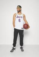 Nike NBA La Lakers Swingman James #6 Jersey - White