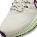 Nike Pegasus 39 Men's Road Running Shoes