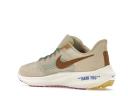 Nike Pegasus 39 Premium Nike Moving Company