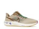 Nike Pegasus 39 Premium Nike Moving Company
