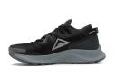 Nike Pegasus Trail 2 Black Dark Smoke Grey