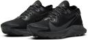 Nike Pegasus Trail 2 GORE-TEX Black