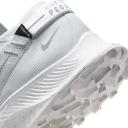 Nike Pegasus Trail 2 GORE-TEX Pure Platinum