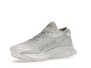 Nike Pegasus Trail 2 GORE-TEX Pure Platinum