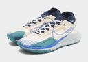 Nike Pegasus Trail 4 GORE-TEX Men's Waterproof Trail-Running Shoes - Brown