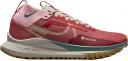 Nike Pegasus Trail 4 GORE-TEX Women's Waterproof Trail-Running Shoes - Grey