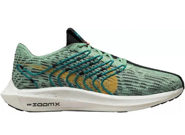 Nike Pegasus Turbo Next Nature 5 Borough Tour