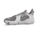 Nike PG 5 TB Wolf Grey
