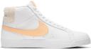 Nike SB Blazer Mid Lobster