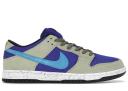 Nike SB Dunk Low 'ACG Celadon'