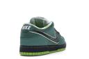 Nike SB Dunk Low Concepts Green Lobster (Special Box)