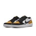 Nike SB Force 58