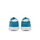 Nike SB Force 58 Dutch Blue Barely Green