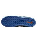 Nike SB Ishod Wair Pacific Blue