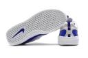 Nike SB Nyjah Free 2 Concord