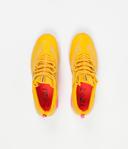Nike SB Nyjah Free 2 Pollen