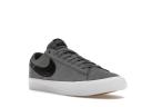 Nike SB Zoom Blazer Low Pro GT Cool Grey