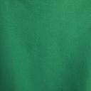 Nike Sportswear Phoenix Fleece Women's Over-Oversized Pullover Hoodie - Green