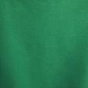 Nike Sportswear Phoenix Fleece Women's Over-Oversized Pullover Hoodie - Green