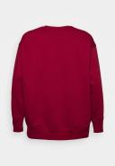 Nike Sportswear Phoenix Fleece Women's Oversized Crew-Neck Sweatshirt - Red