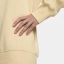 Nike Sportswear Phoenix Fleece Women's Oversized Fleece Sweatshirt - Brown