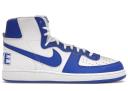 Nike Terminator High Game Royal