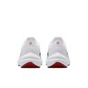 Nike Winflo 10 Men's Road Running Shoes - White