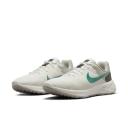 Nike Women's Revolution 6 Running Shoes (Phantom/Neptune Green) 9.5 US