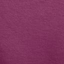 Nike Women's Sportswear Phoenix Fleece Oversized Crewneck Sweatshirt Red