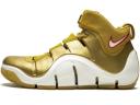 Nike Zoom LeBron 4 'West Coast' Mens Sneakers - Size 10.0