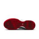Nike Zoom LeBron NXXT Gen Faze Clan Bred
