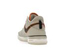 Nike Zoom LeBron NXXT Gen Light Orewood Brown
