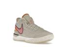 Nike Zoom LeBron NXXT Gen Light Orewood Brown