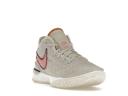 Nike Zoom LeBron NXXT Gen Light Orewood Brown