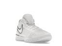 Nike Zoom LeBron NXXT Gen White Metallic Silver
