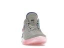 Nike Zoom LeBron NXXT Gen Wolf Grey