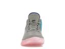 Nike Zoom LeBron NXXT Gen Wolf Grey