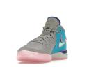 Nike Zoom LeBron NXXT Gen Wolf Grey