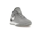 Nike Zoom LeBron NXXT Gen Wolf Grey Metallic Gold