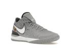 Nike Zoom LeBron NXXT Gen Wolf Grey Metallic Gold