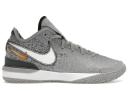 Nike Zoom LeBron NXXT Gen Wolf Grey Metallic Gold